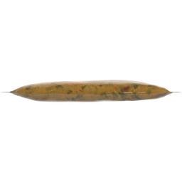 Product thumb gallery lebwcxdeab6zwzs8poya